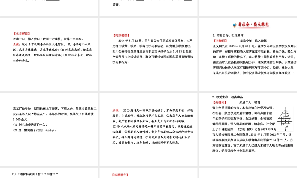 【世纪金榜】八年级政治上册 4.8.1 危险的诱惑课件 教科版