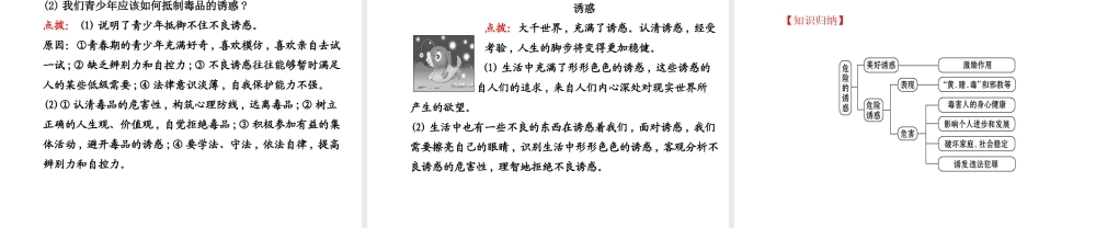 【世纪金榜】八年级政治上册 4.8.1 危险的诱惑课件 教科版