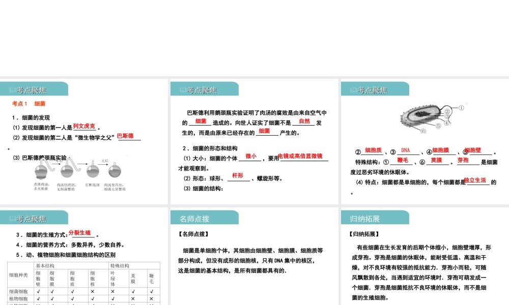 PK中考（江西专用）中考生物 八（二）细菌、真菌和病毒习题课件-人教版初中九年级全册生物课件