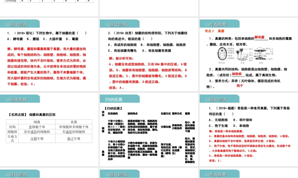 PK中考（江西专用）中考生物 八（二）细菌、真菌和病毒习题课件-人教版初中九年级全册生物课件