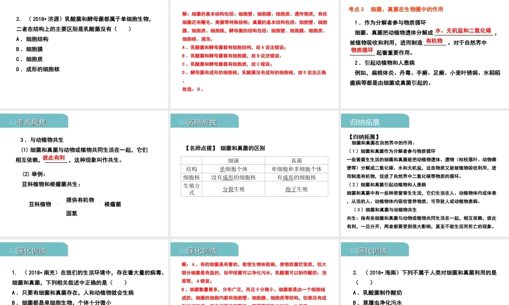 PK中考（江西专用）中考生物 八（二）细菌、真菌和病毒习题课件-人教版初中九年级全册生物课件