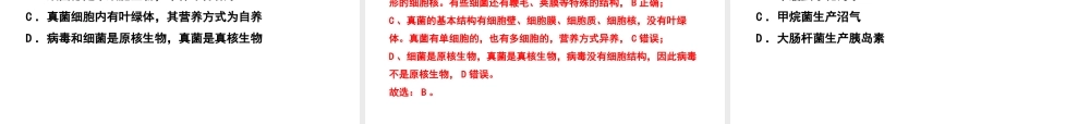 PK中考（江西专用）中考生物 八（二）细菌、真菌和病毒习题课件-人教版初中九年级全册生物课件