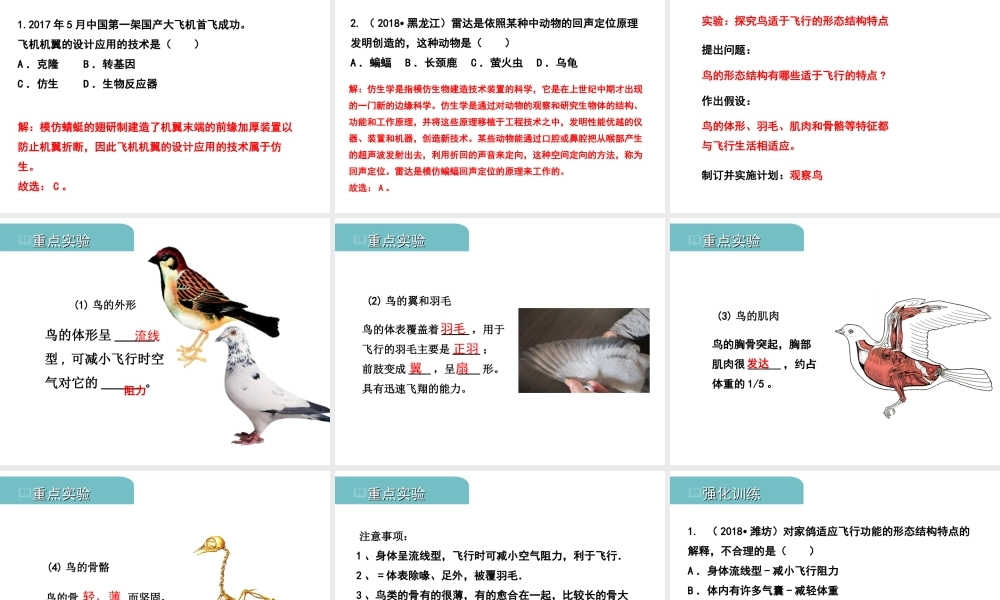 PK中考（江西专用）中考生物 八（三）动、植物的类群（二）习题课件-人教版初中九年级全册生物课件