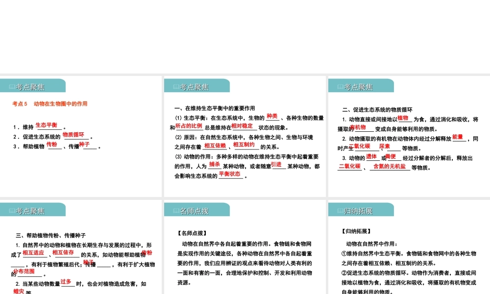 PK中考（江西专用）中考生物 八（三）动、植物的类群（二）习题课件-人教级全册生物课件