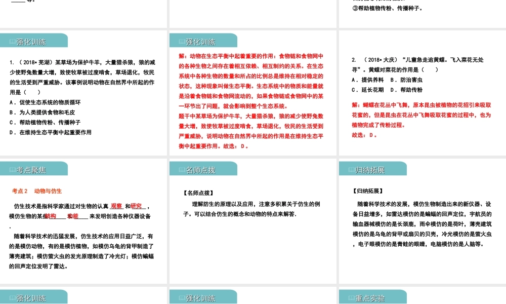PK中考（江西专用）中考生物 八（三）动、植物的类群（二）习题课件-人教级全册生物课件