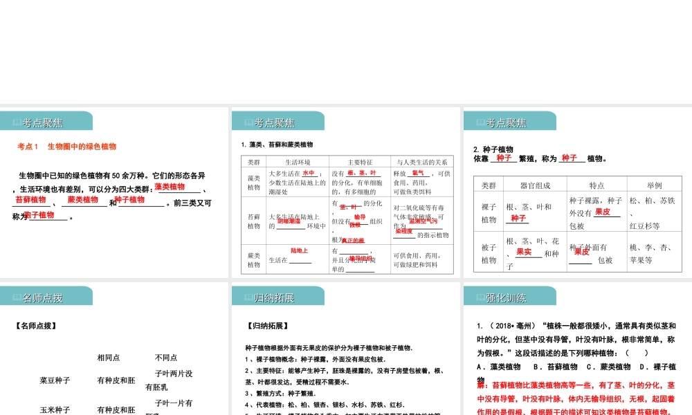 PK中考（江西专用）中考生物 八（三）动、植物的类群（一）习题课件-人教版初中九年级全册生物课件