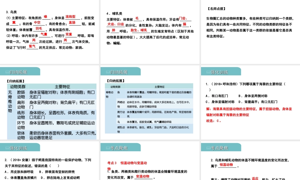 PK中考（江西专用）中考生物 八（三）动、植物的类群（一）习题课件-人教级全册生物课件