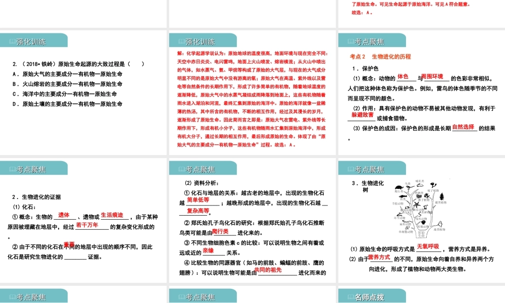 PK中考（江西专用）中考生物 八（五）生命的起源和生物进化习题课件-人教版初中九年级全册生物课件
