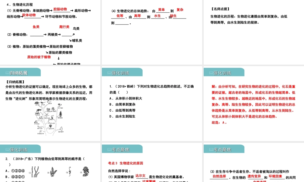 PK中考（江西专用）中考生物 八（五）生命的起源和生物进化习题课件-人教级全册生物课件