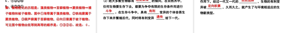 PK中考（江西专用）中考生物 八（五）生命的起源和生物进化习题课件-人教级全册生物课件