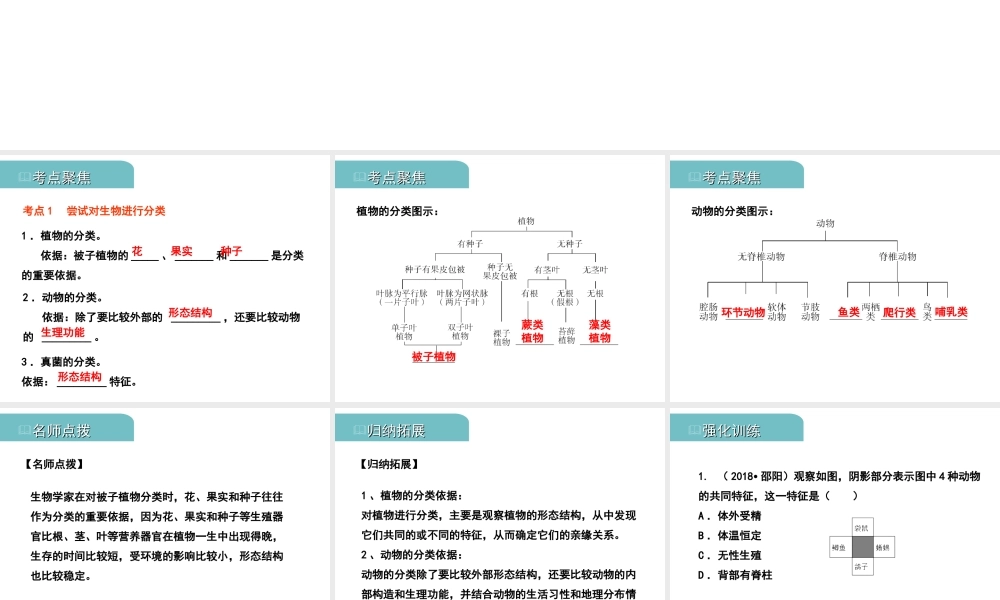 PK中考（江西专用）中考生物 八（一）根据生物的特征进行分类习题课件-人教版初中九年级全册生物课件