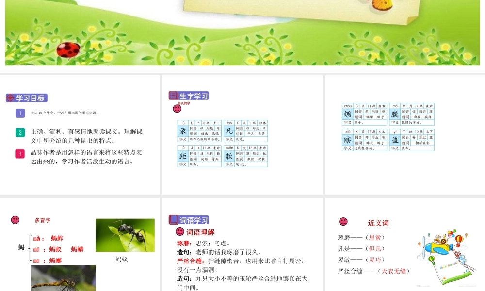 2019三年级语文下册 第一单元 4 昆虫备忘录课件 新人教版