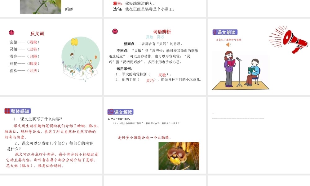 2019三年级语文下册 第一单元 4 昆虫备忘录课件 新人教版