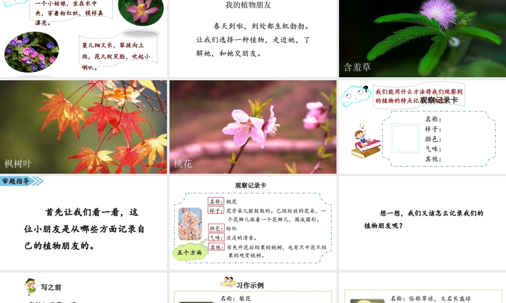 2019三年级语文下册 第一单元 习作《我的植物朋友》课件 新人教版