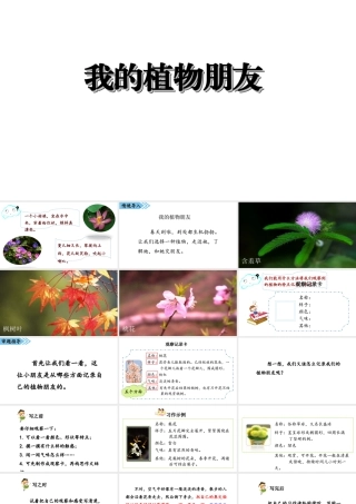 2019三年级语文下册 第一单元 习作《我的植物朋友》课件 新人教版