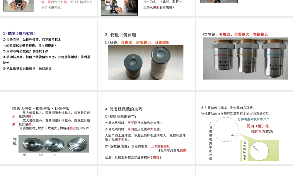 PK中考（江西专用）中考生物 第二章 第一节 细胞是生命活动的基本单位课件-人教版初中九年级全册生物课件