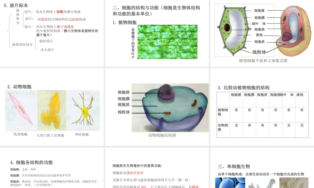 PK中考（江西专用）中考生物 第二章 第一节 细胞是生命活动的基本单位课件-人教版初中九年级全册生物课件