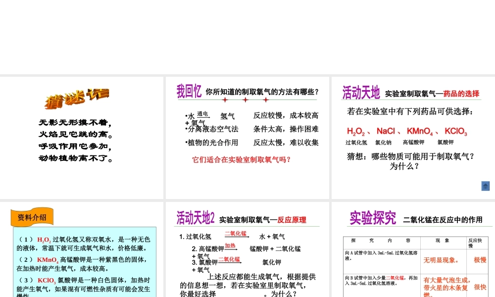 【倍速课时学练】2014九年级化学上册《4.3 氧气》课件1 （新版）鲁教版