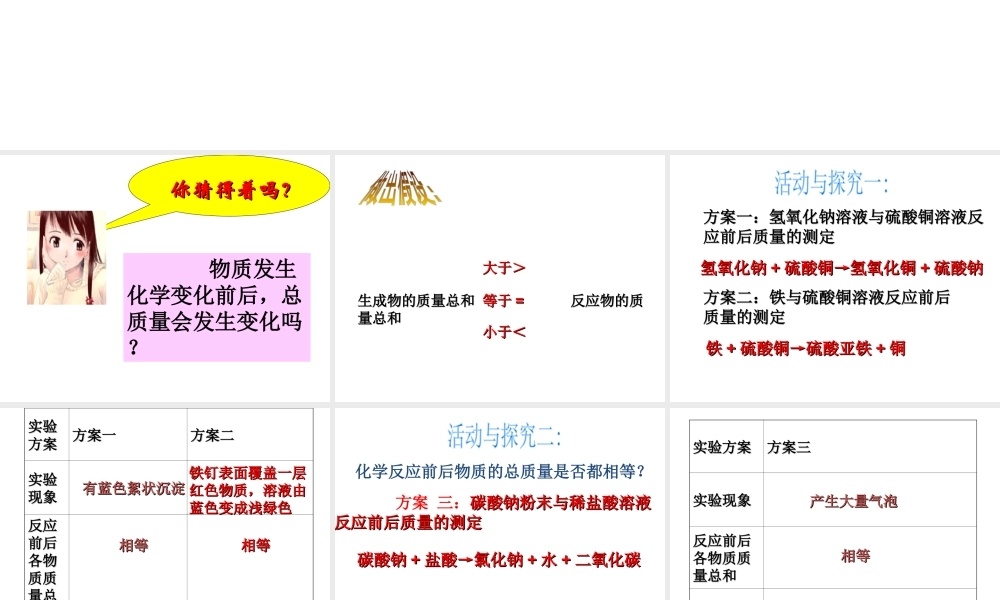 【倍速课时学练】2014九年级化学上册《5.1 化学反应中的质量守恒》课件 （新版）鲁教版