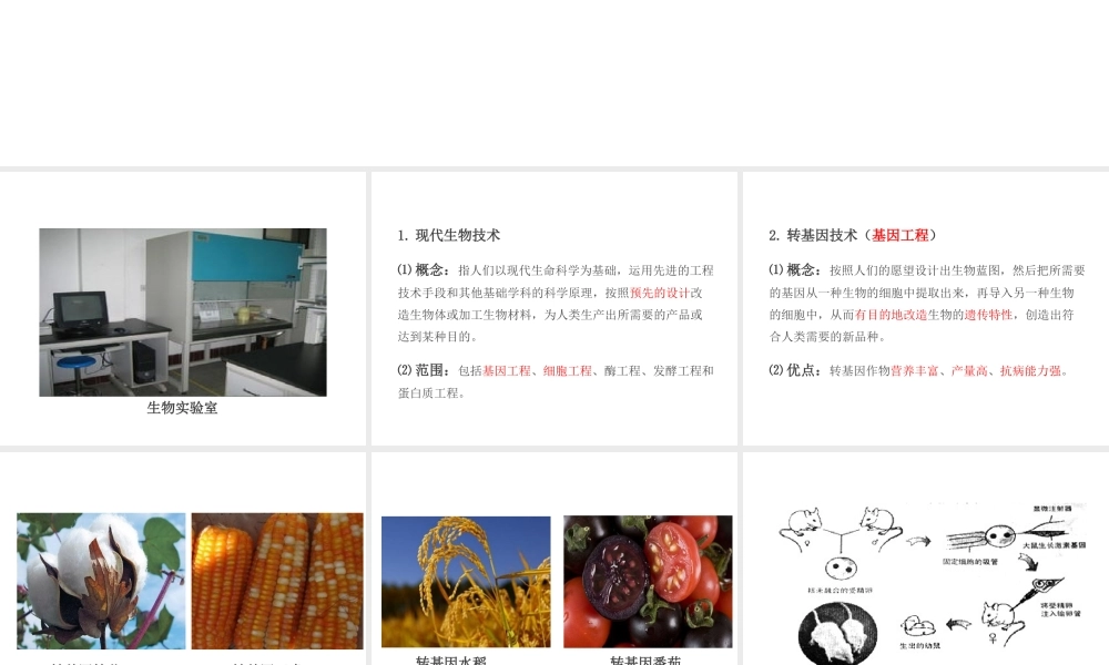 PK中考（江西专用）中考生物 第九章 第二节 现代生物技术课件-人教级全册生物课件