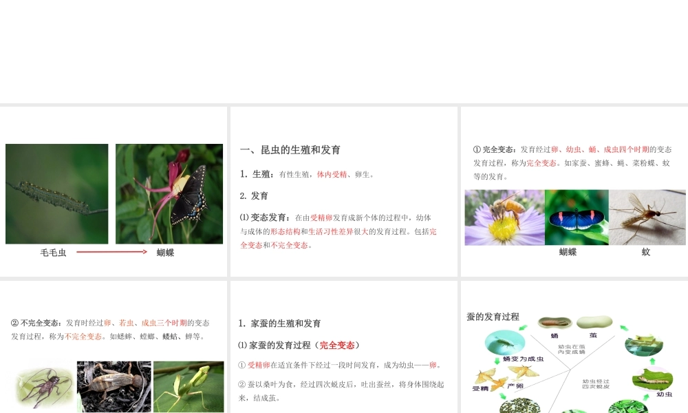 PK中考（江西专用）中考生物 第七章 第二节 动物的生殖和发育课件-人教版初中九年级全册生物课件