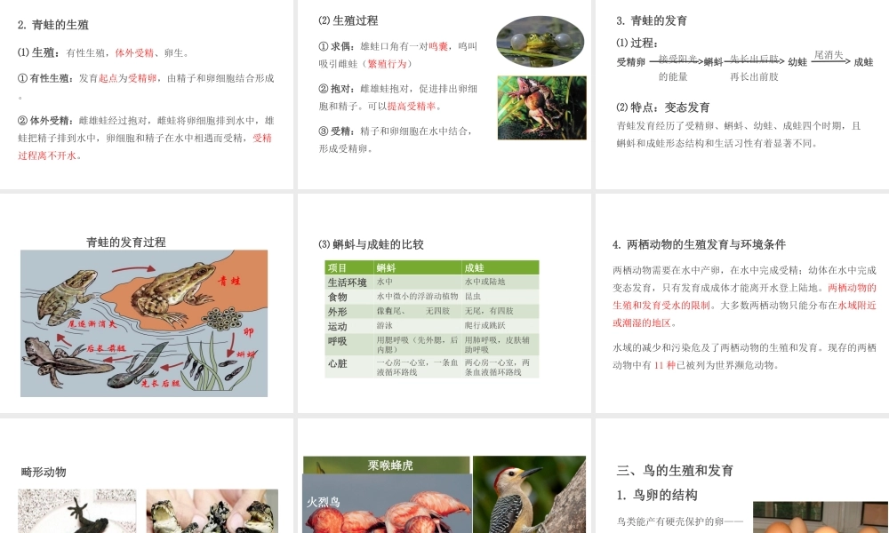 PK中考（江西专用）中考生物 第七章 第二节 动物的生殖和发育课件-人教版初中九年级全册生物课件