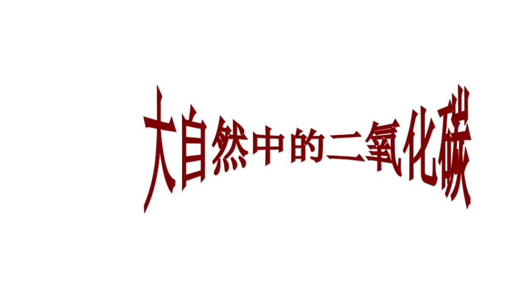 【倍速课时学练】2014九年级化学上册《6.3 大自然中的二氧化碳》课件 （新版）鲁教版