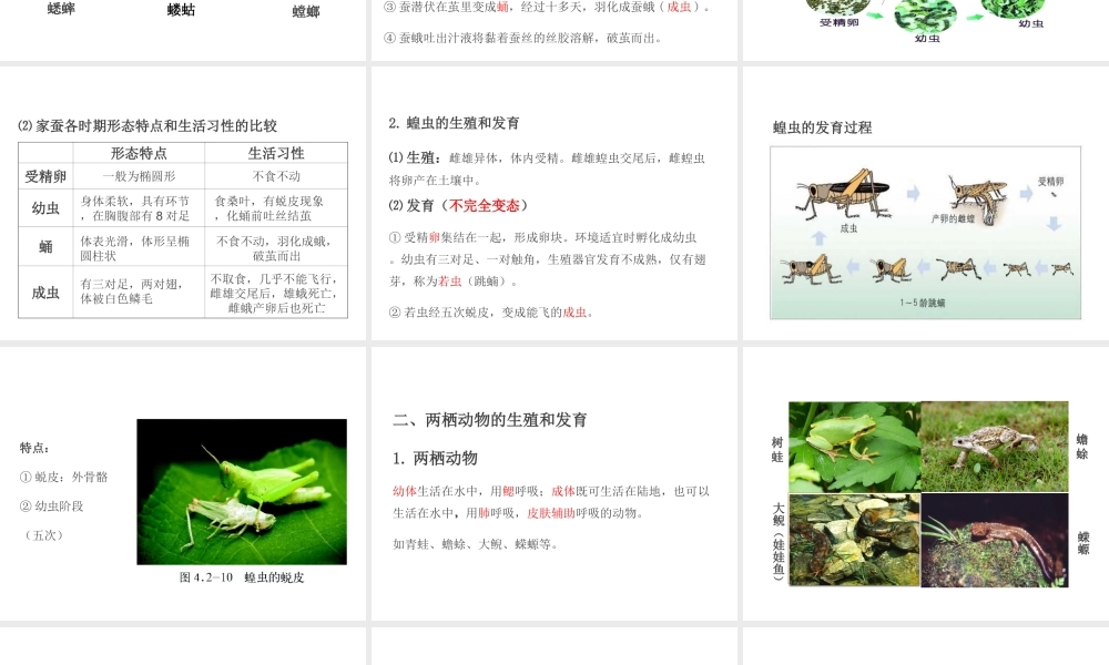 PK中考（江西专用）中考生物 第七章 第二节 动物的生殖和发育课件-人教级全册生物课件