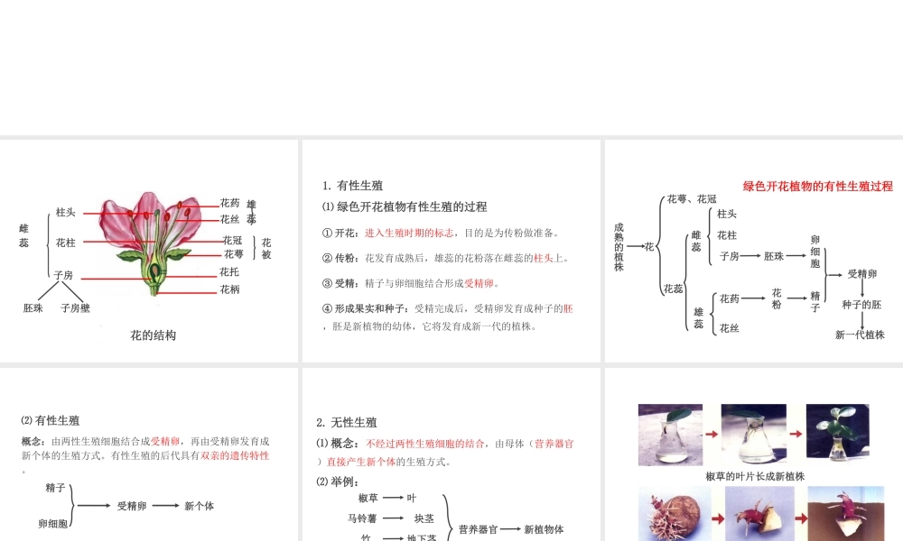PK中考（江西专用）中考生物 第七章 第三节 植物的生殖课件-人教版初中九年级全册生物课件