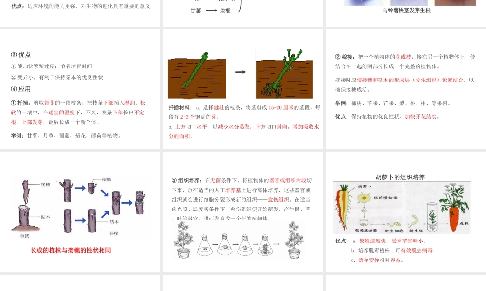 PK中考（江西专用）中考生物 第七章 第三节 植物的生殖课件-人教版初中九年级全册生物课件
