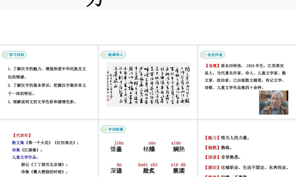 2018八年级语文下册 第四单元 14 汉字的魅力课件 鄂教版