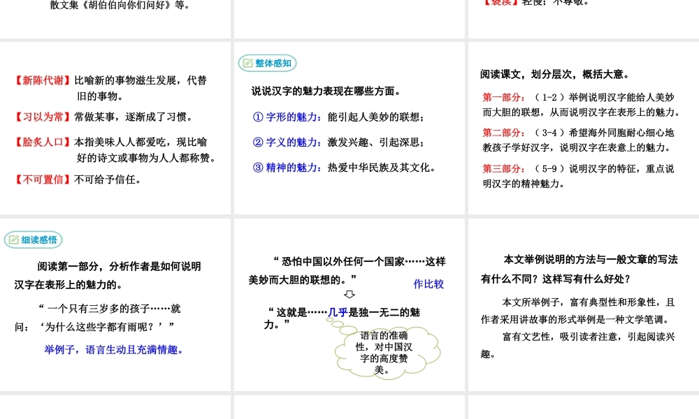 2018八年级语文下册 第四单元 14 汉字的魅力课件 鄂教版