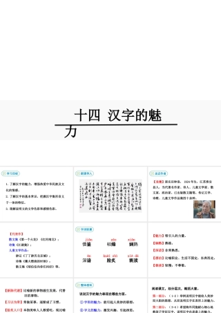 2018八年级语文下册 第四单元 14 汉字的魅力课件 鄂教版