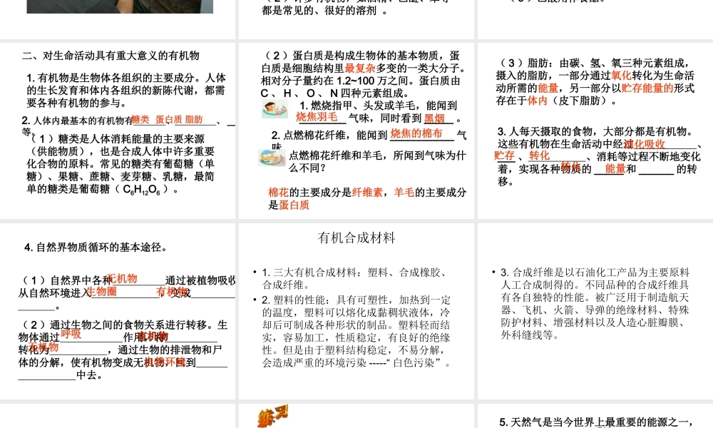 【倍速课时学练】2014秋九年级科学上册 第二章 第3节 有机物和有机合成材料课件 （新版）浙教版