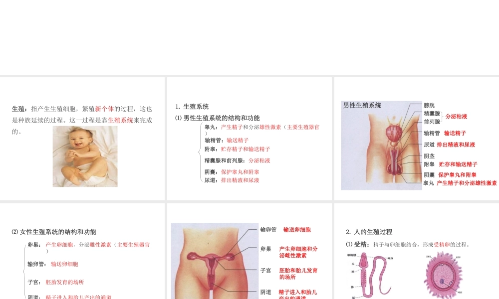 PK中考（江西专用）中考生物 第七章 第一节 人的生殖和发育课件-人教级全册生物课件