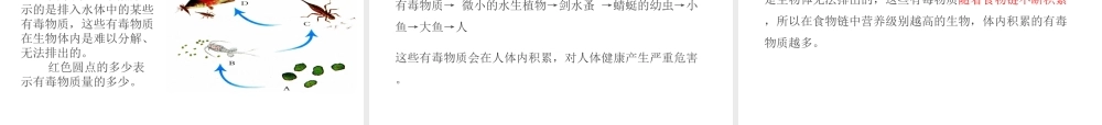 PK中考（江西专用）中考生物 第三章 第二节 生物与环境组成生态系统课件-人教版初中九年级全册生物课件