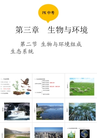 PK中考（江西专用）中考生物 第三章 第二节 生物与环境组成生态系统课件-人教版初中九年级全册生物课件