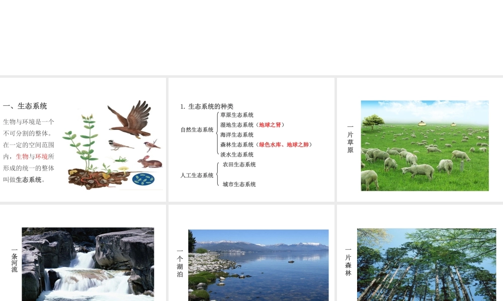 PK中考（江西专用）中考生物 第三章 第二节 生物与环境组成生态系统课件-人教级全册生物课件