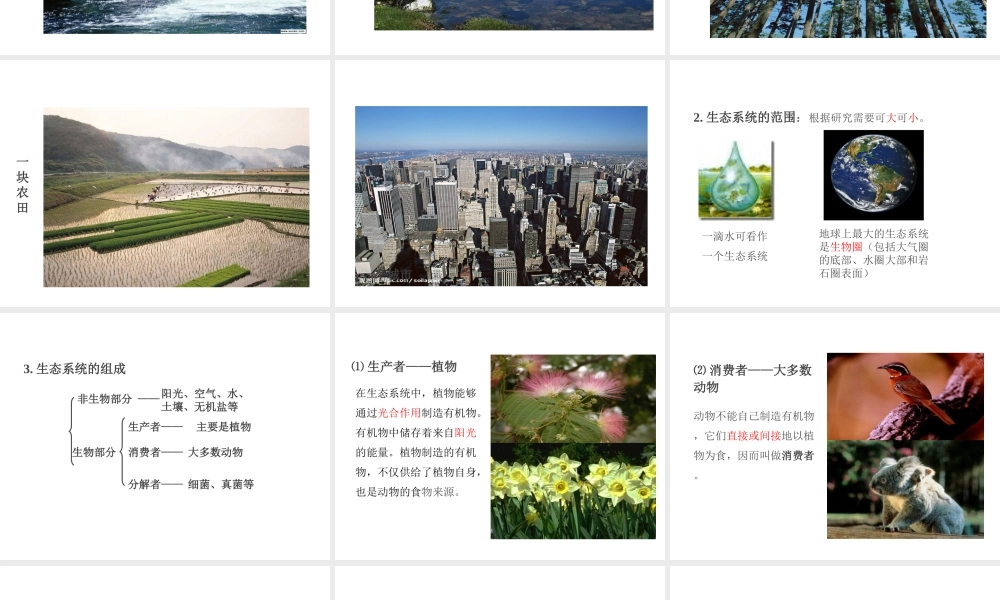 PK中考（江西专用）中考生物 第三章 第二节 生物与环境组成生态系统课件-人教级全册生物课件