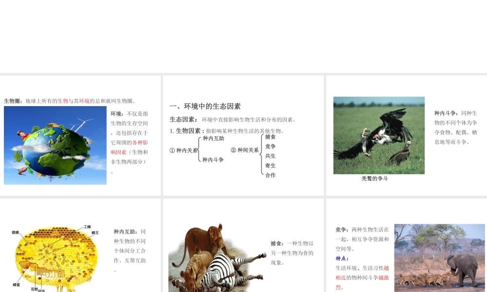 PK中考（江西专用）中考生物 第三章 第一节 生物的生存依赖一定的环境课件-人教版初中九年级全册生物课件
