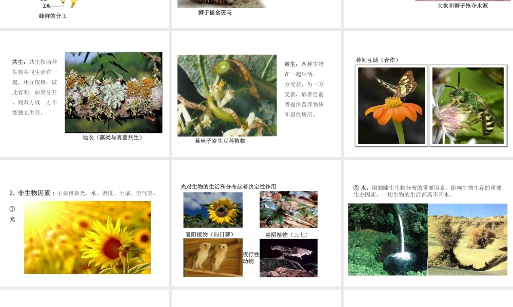 PK中考（江西专用）中考生物 第三章 第一节 生物的生存依赖一定的环境课件-人教版初中九年级全册生物课件