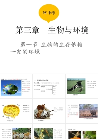 PK中考（江西专用）中考生物 第三章 第一节 生物的生存依赖一定的环境课件-人教版初中九年级全册生物课件