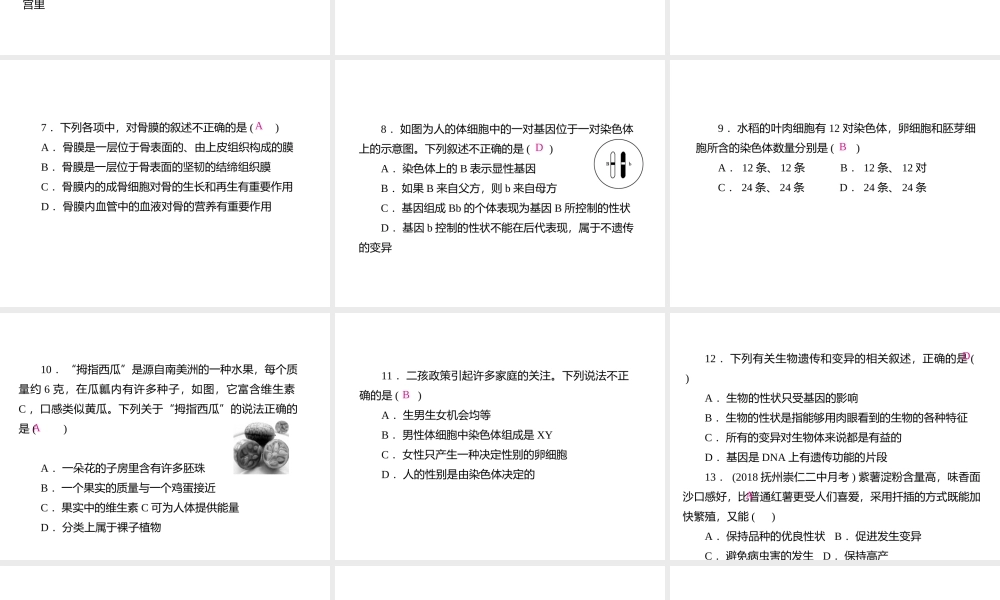 PK中考（江西专用）中考生物仿真测试卷四课件-人教版初中九年级全册生物课件