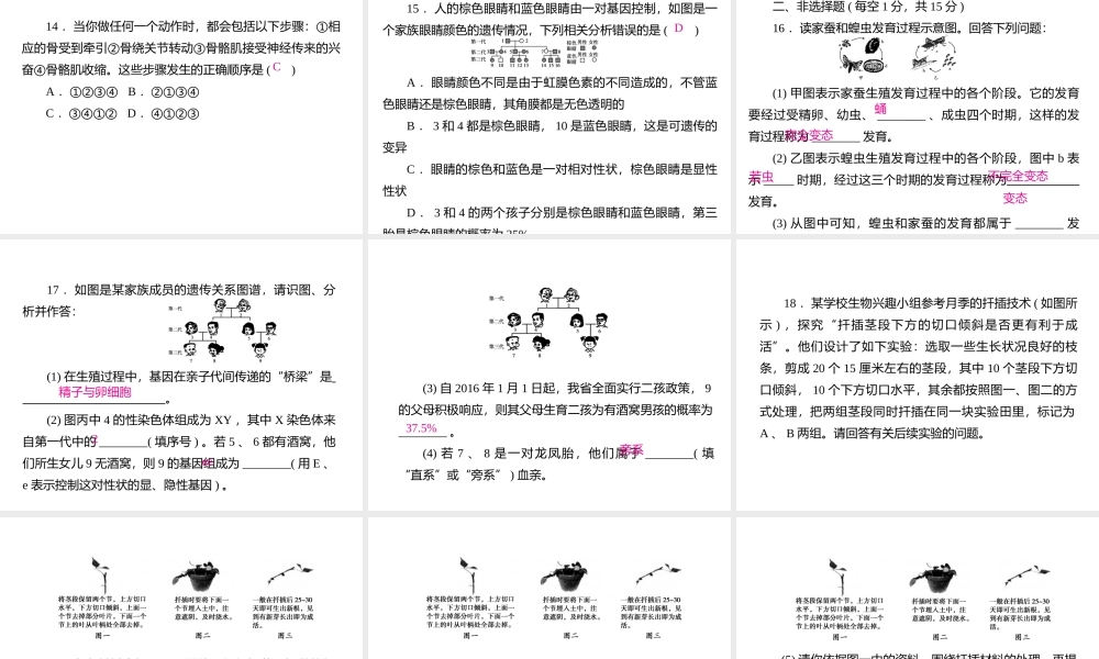 PK中考（江西专用）中考生物仿真测试卷四课件-人教版初中九年级全册生物课件