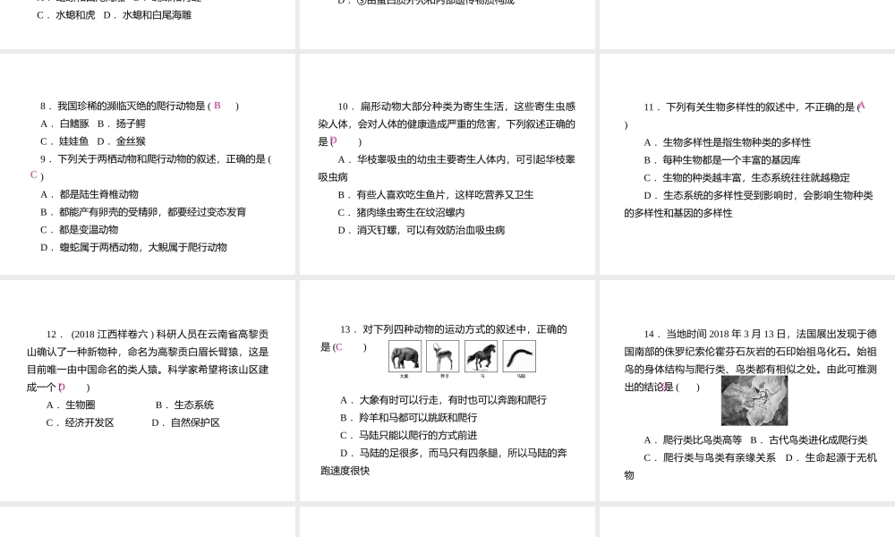 PK中考（江西专用）中考生物仿真测试卷五课件-人教版初中九年级全册生物课件