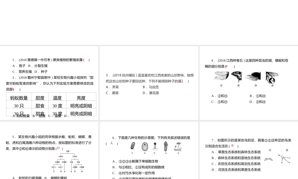 PK中考（江西专用）中考生物仿真测试卷五课件-人教级全册生物课件