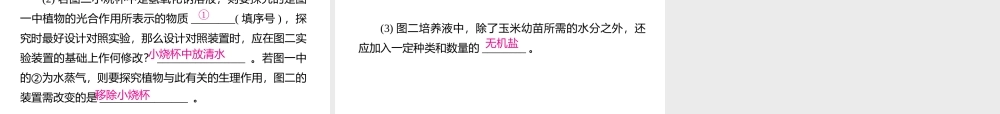 PK中考（江西专用）中考生物模拟试卷二课件-人教版初中九年级全册生物课件