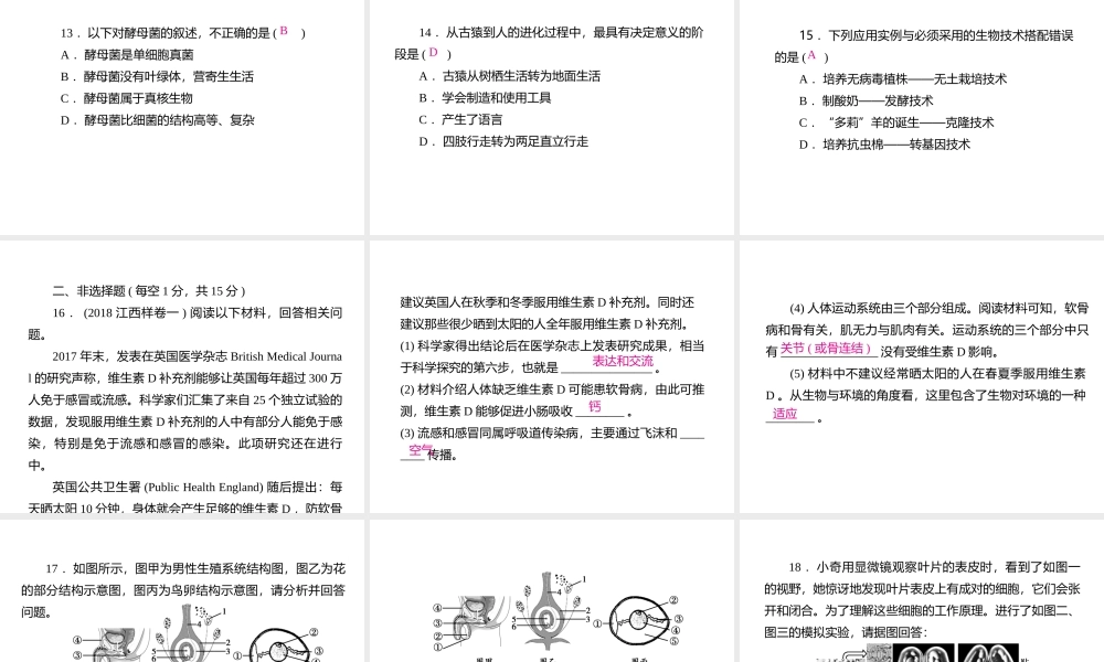 PK中考（江西专用）中考生物模拟试卷三课件-人教版初中九年级全册生物课件