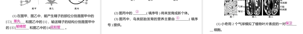 PK中考（江西专用）中考生物模拟试卷三课件-人教版初中九年级全册生物课件