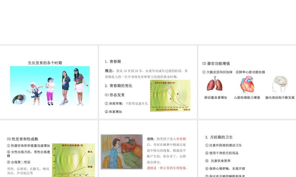 PK中考（江西专用）中考生物 第十章 第一节 健康地度过青春期课件-人教版初中九年级全册生物课件